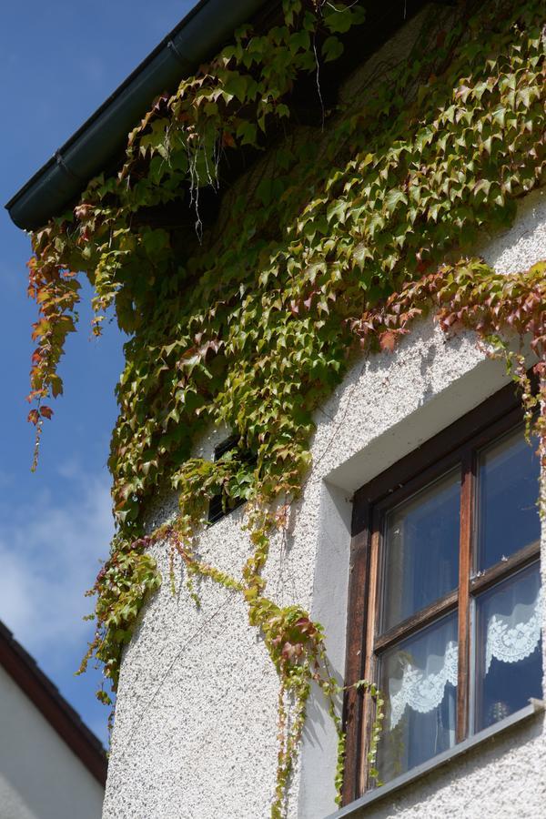 Hotel Am Regenbogen Cham Exterior foto